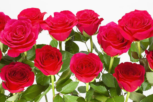 Meaning of Red Roses Bouquets
