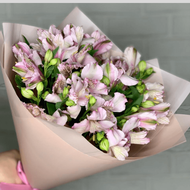 Alstroemeria Wonder Sweet Bouquet Goshen Flower