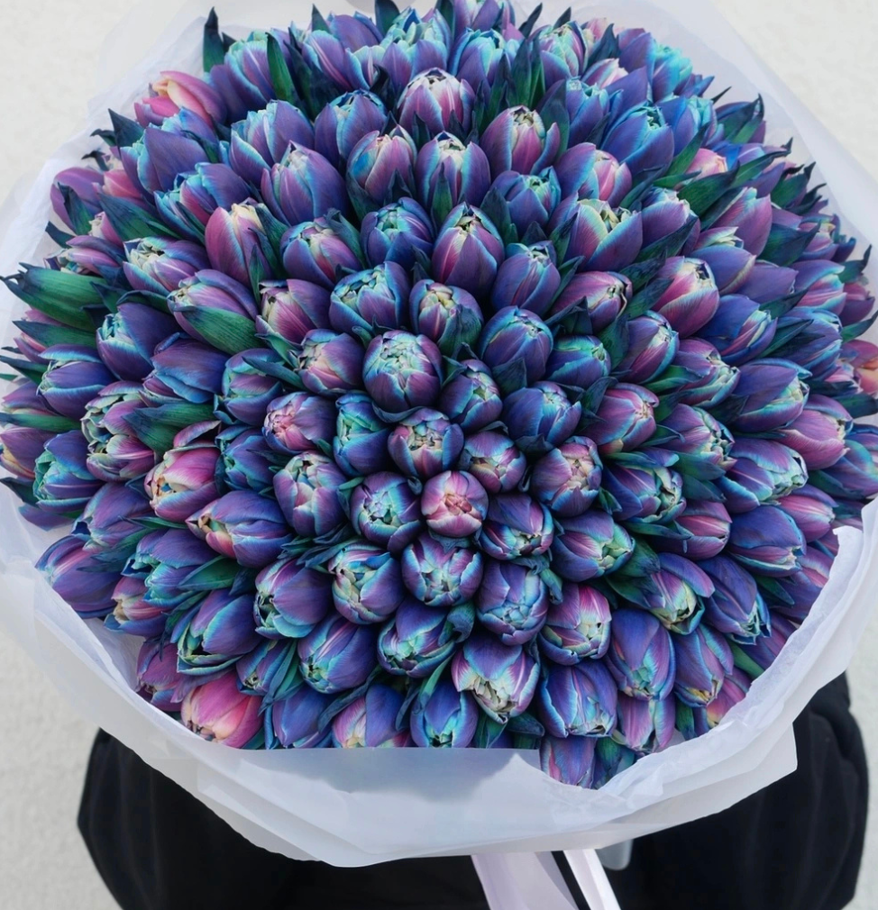 Rare double petal blue tulips in modern floral arrangement Dubai
