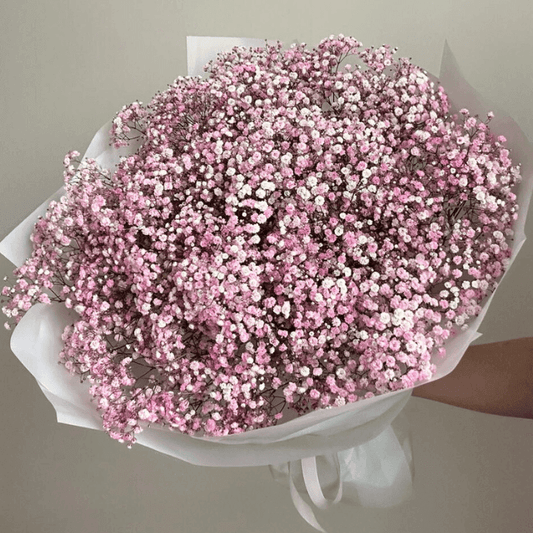 Gypsophila Bouquet – Pink Goshen Flower