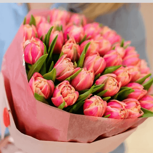 Bouquet of Dancing Salsa pink tulips wrapped in blush paper, perfect for gifts and special occasions.