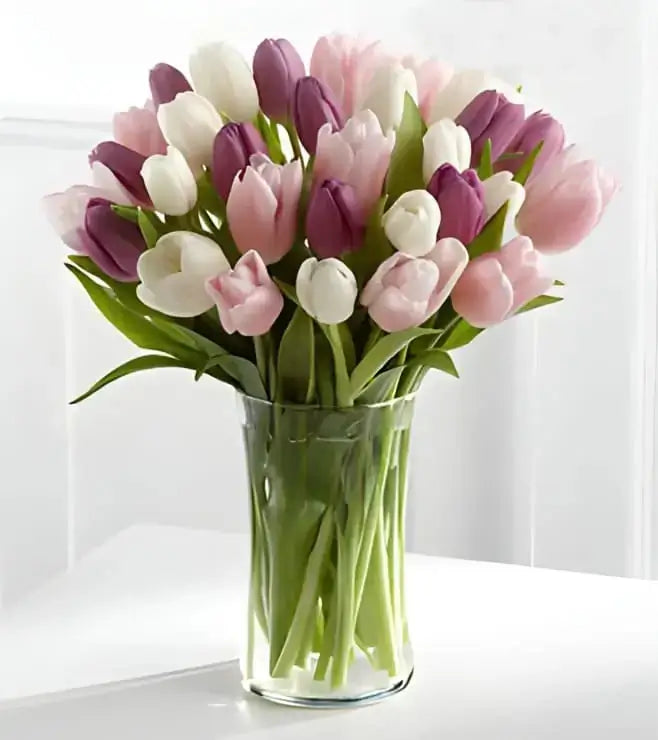 Pastel Harmony Tulips Goshen Flower