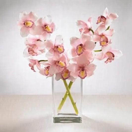 Pink Cymbidium Orchid Goshen Flower