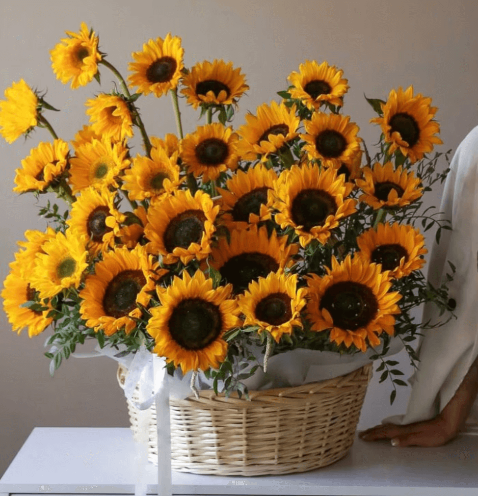 Sunflower Basket Goshen Flower