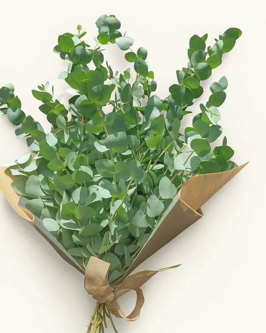 Eucalyptus stems in a vase for natural home décor in Dubai