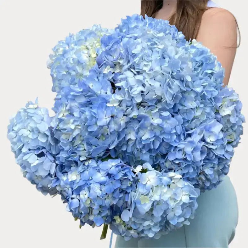 Blue Hydrangea Bouquet Goshen Flower