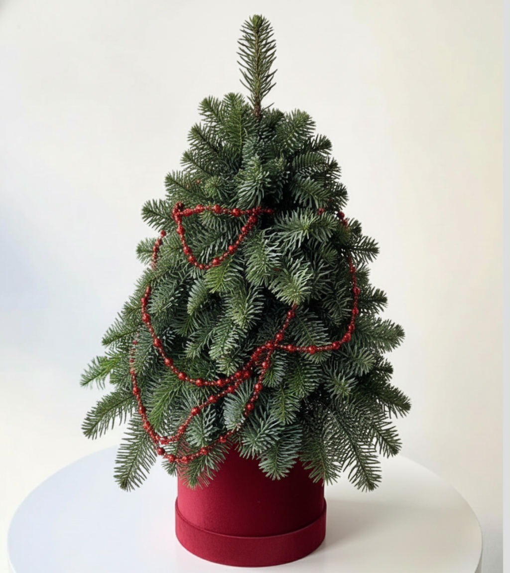 Last Christmas Mini Evergreen