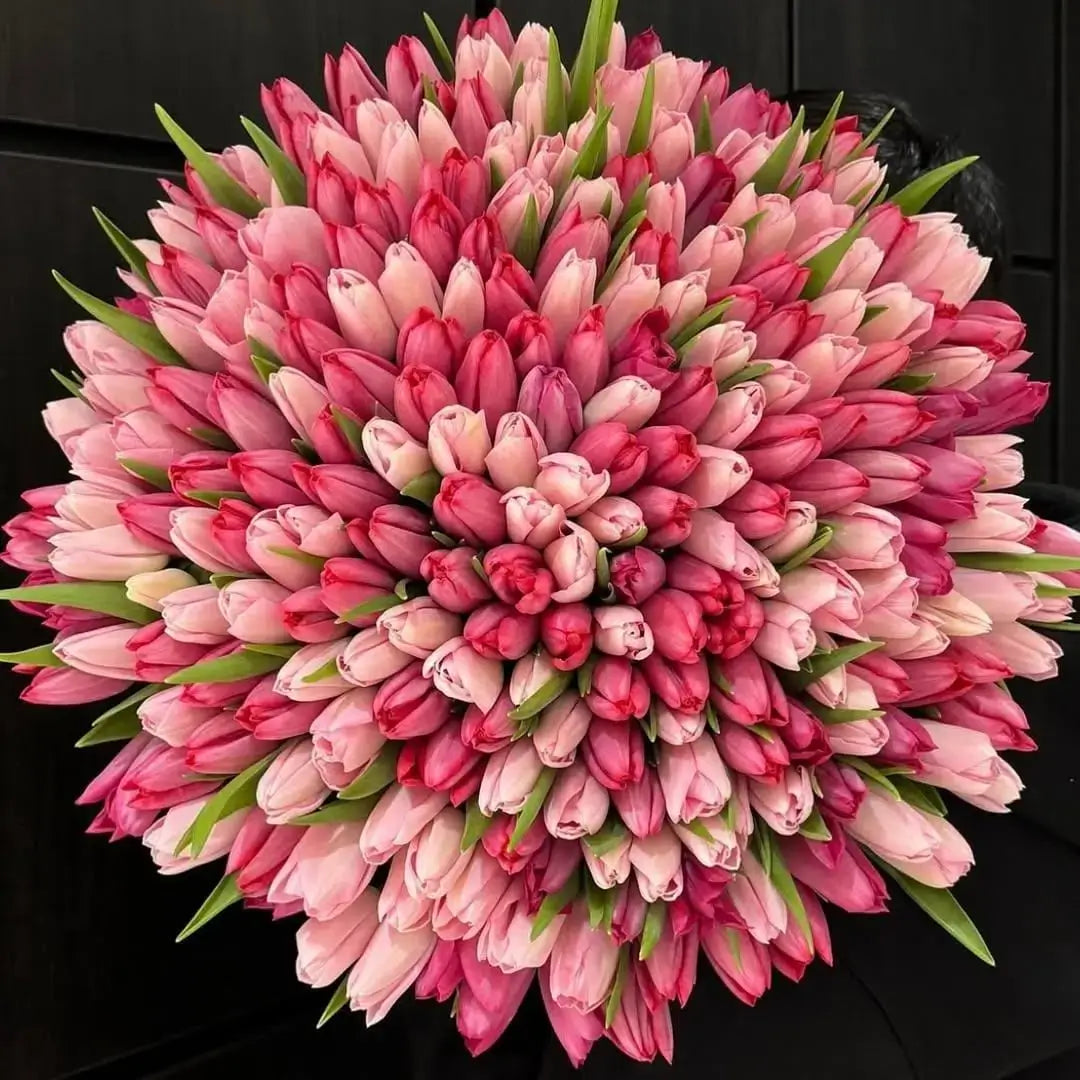 Bright and colorful mixed pink tulips bouquet wrapped for flower delivery in Dubai