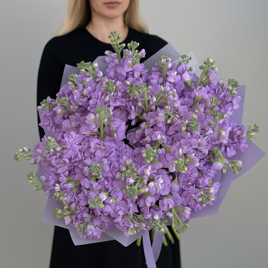 Purple Matthiola Bouquet Goshen Flower