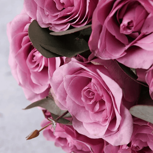 12 Purple Roses Bouquet Goshen Flower