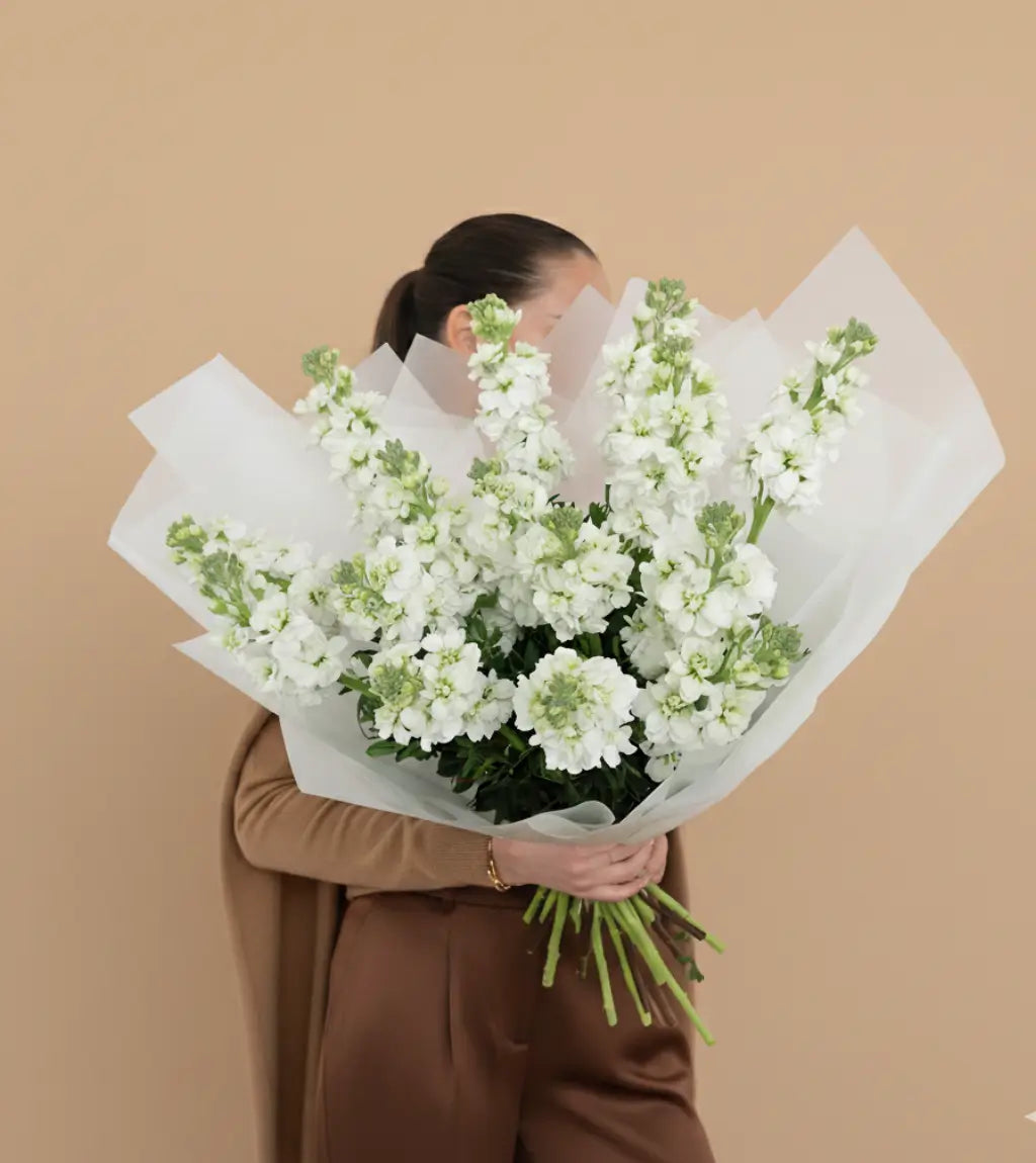 White Matthiola Bouquet – Goshen Flower