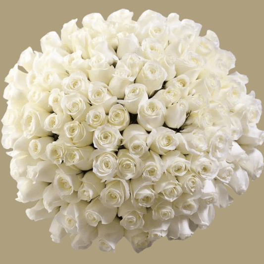 100 White Roses Goshen Flower