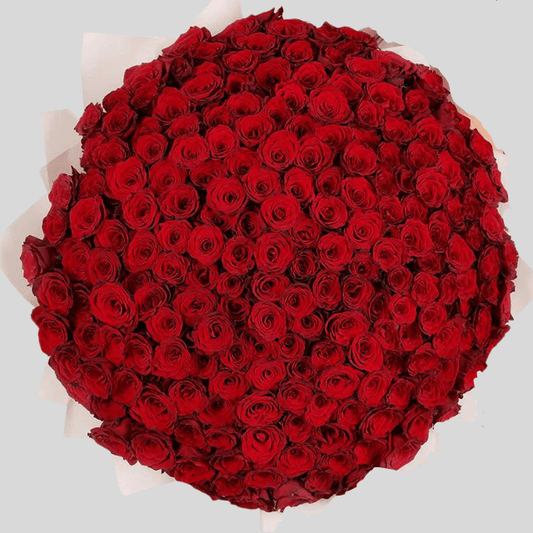 200 Red Roses Bouquet Goshen Flower