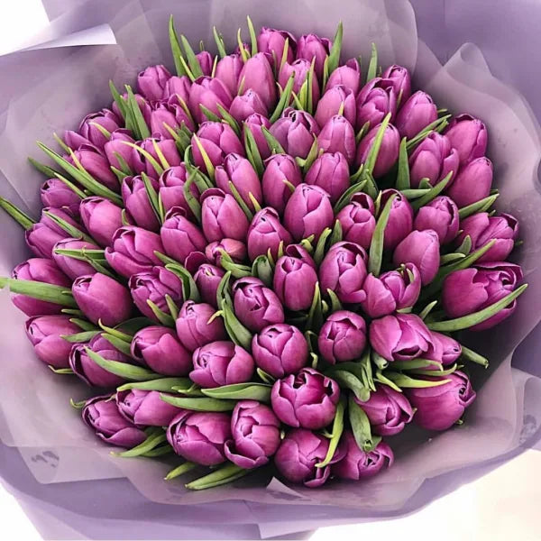 Purple tulips bouquet with fresh elegant blooms – flower delivery Dubai