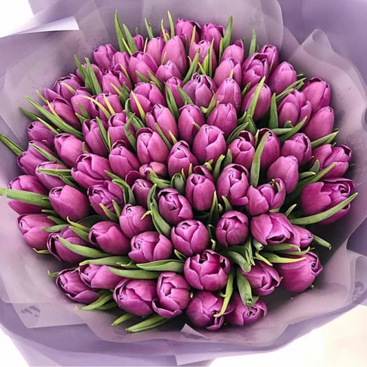 Purple tulips bouquet with fresh elegant blooms – flower delivery Dubai
