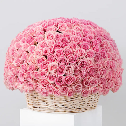 Luxury 500 pink roses basket with same day delivery in Dubai