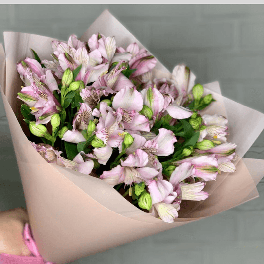 Alstroemeria Wonder Sweet Bouquet Goshen Flower