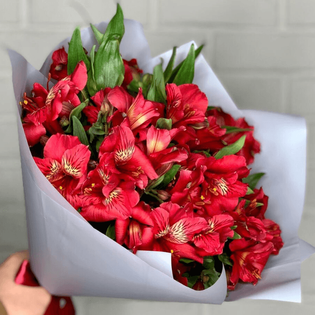 Alstroemeria Cardina Bouquet Goshen Flower