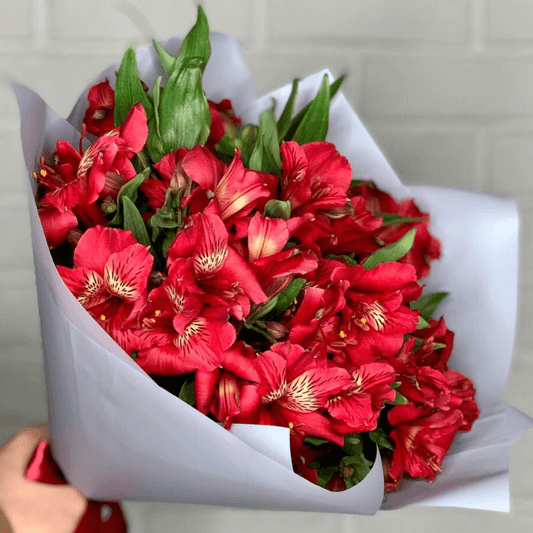 Alstroemeria Cardina Bouquet Goshen Flower