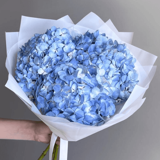 Blue Hydrangea Trio Goshen Flower