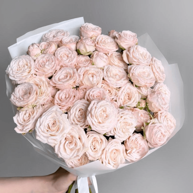 Bombastic Roses Bombastic Spray Roses | Luxe Pink Rose Delivery in Dubai – Goshen Flower