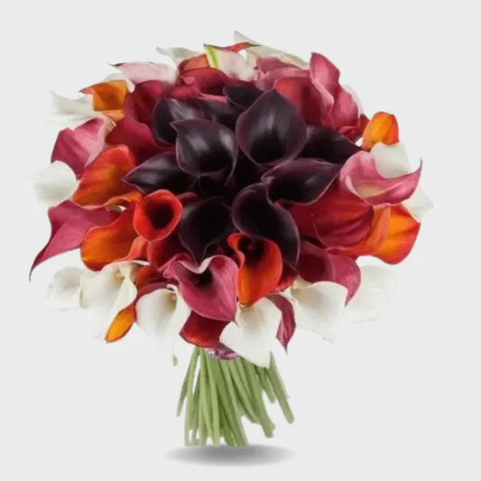 Calla Lily Spectrum Bouquet Goshen Flower