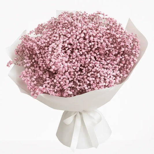 Pink Gypsophila Baby’s Breath Bouquet wrapped in white paper – Dubai flower delivery