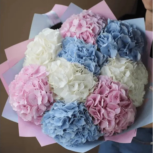 Mixed Hydrangea Bouquet with white, blue, and pink hydrangeas – perfect for elegant flower delivery in Dubai