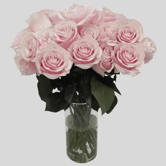 Pink Mondial Roses bouquet featuring large blush blooms, elegantly arranged for romantic gifting and same-day delivery in Dubai