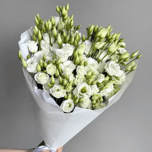 Lisianthus White Goshen Flower