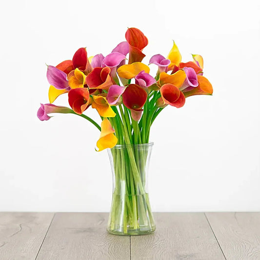 Mixed Calla Lilies Vase Goshen Flower