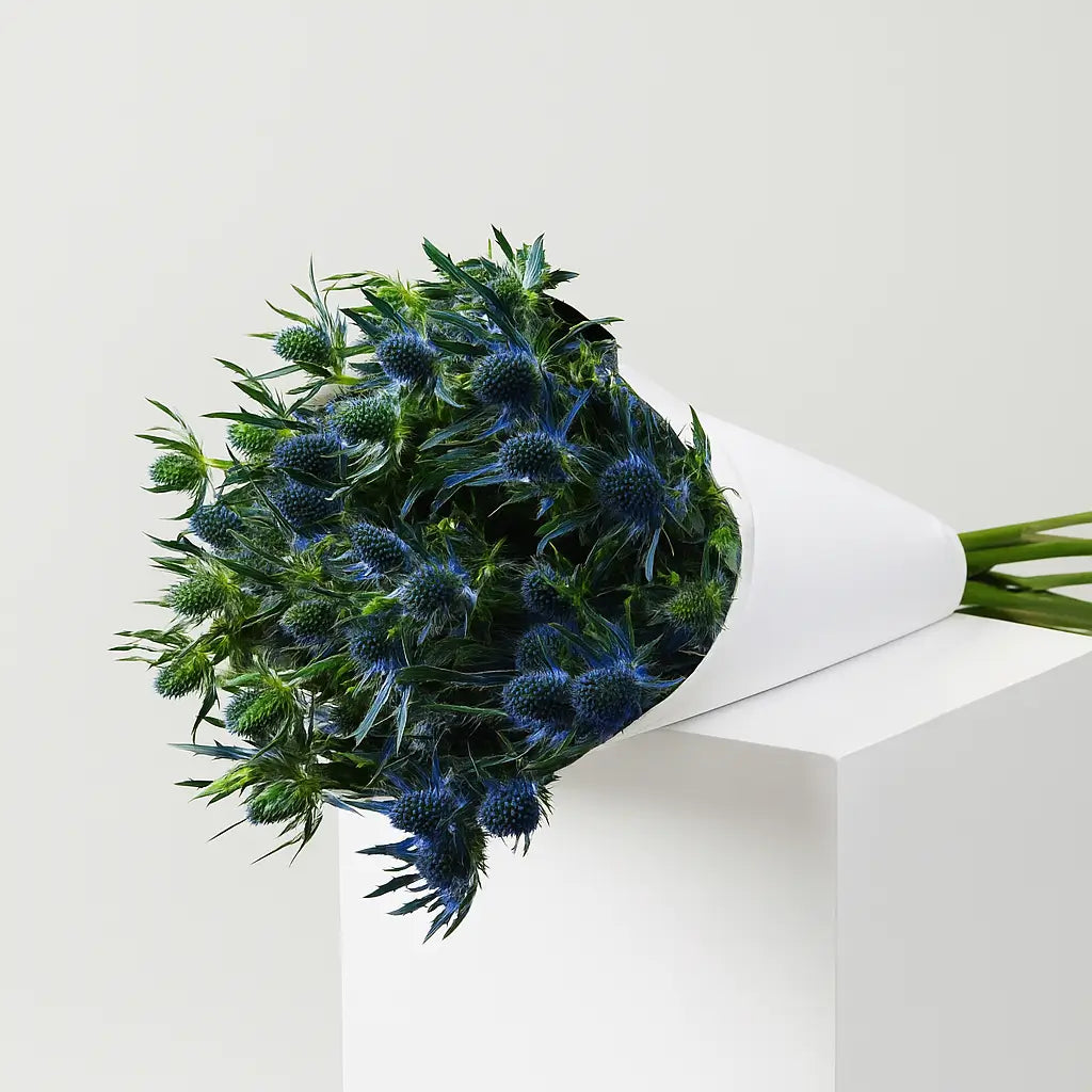 Blue eryngium bouquet handcrafted by a luxury florist in Dubai — bold sculptural arrangement with steel-blue thistle blooms