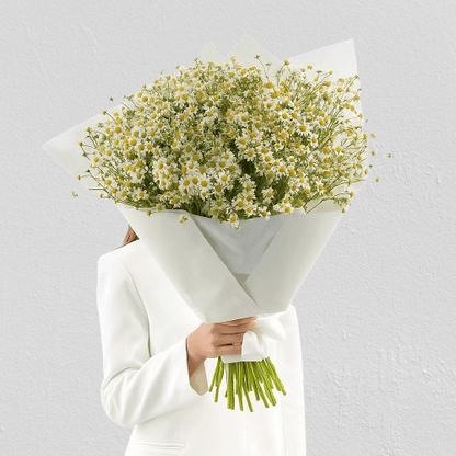 Chamomile Bouquet Goshen Flower