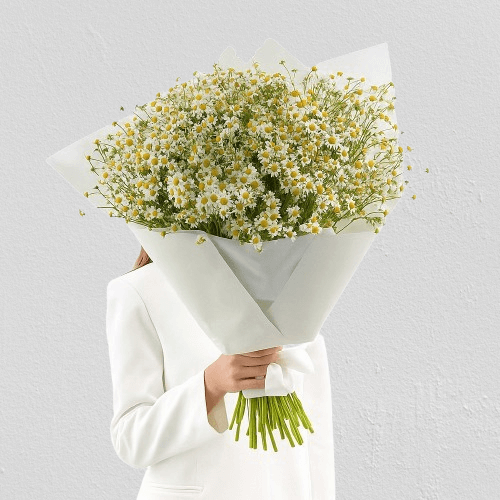 Chamomile Bouquet Goshen Flower