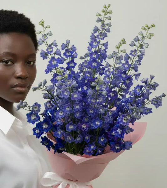 Delphinium Summer Skies