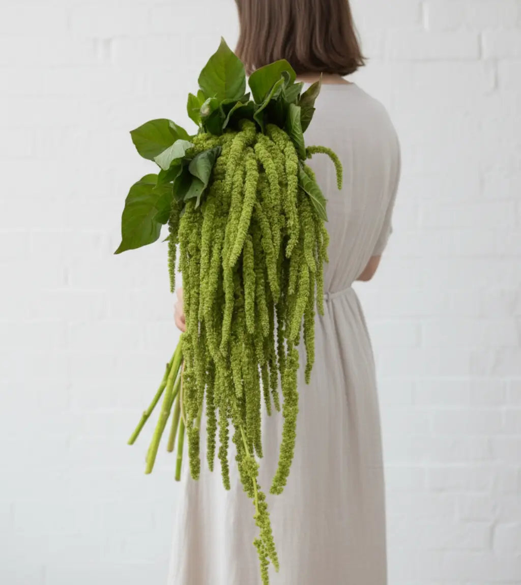 cascading green hanging amaranthus bouquet with long flowing tassel stems