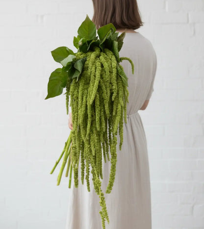 cascading green hanging amaranthus bouquet with long flowing tassel stems