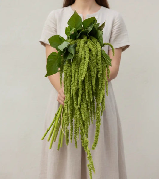 cascading green hanging amaranthus bouquet with long flowing tassel stems