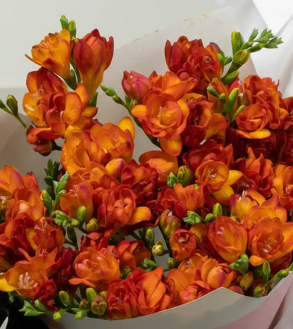 Freesia Mandarine Bouquet