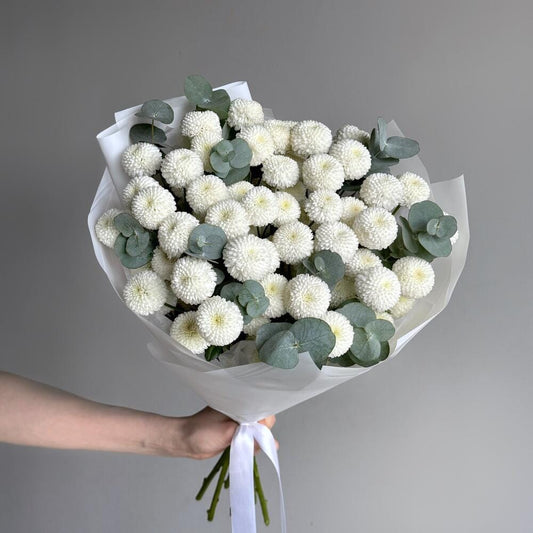 Bouquet of white ping pong flowers with greenery held by a person against a gray background