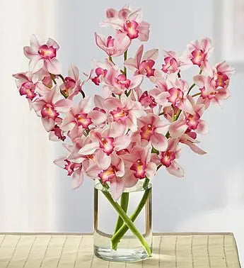 Pink Cymbidium Orchid Goshen Flower