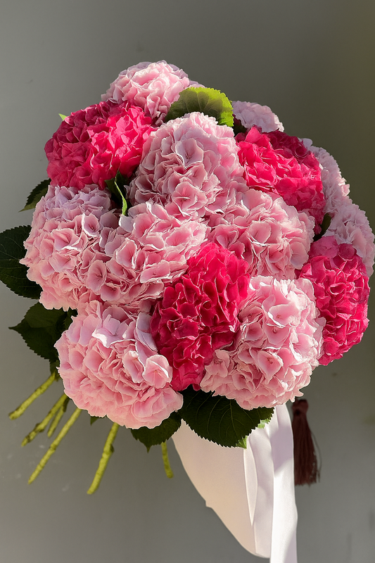 Pink Hydrangea Mix Goshen Flower