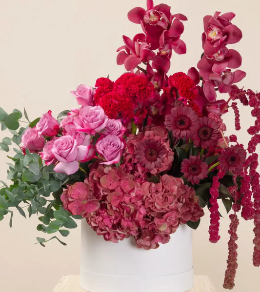 Velour Rouge luxury burgundy flower box with orchids, roses, hydrangeas and celosia – Goshen Flower Dubai
