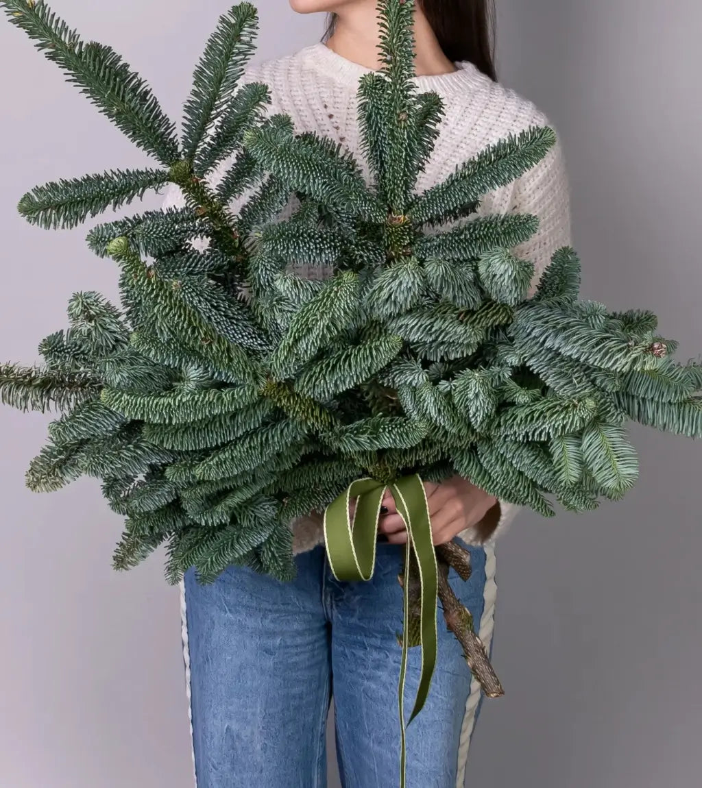 Winter Woods Bundle premium fresh noble fir branches with silvery-blue needles tied with moss green ribbon for DIY Christmas décor Dubai