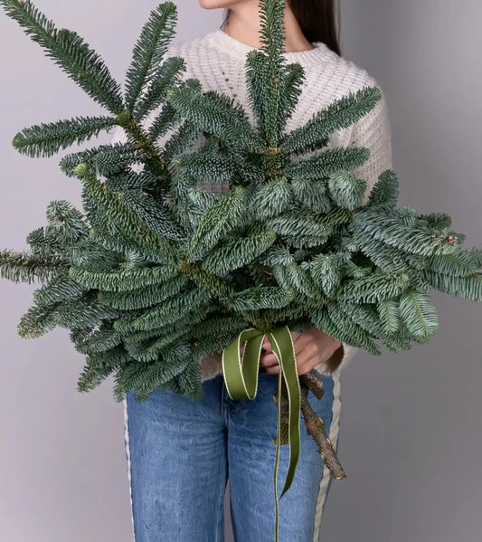 Winter Woods Bundle premium fresh noble fir branches with silvery-blue needles tied with moss green ribbon for DIY Christmas décor Dubai